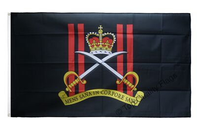 Great Britain Royal ArmyPhysicalTrainingCorps亚马逊WISH EBAY