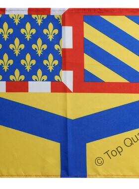 外贸法国约讷省的旗帜France Yonne Banner Flag亚马逊WISH EBAY