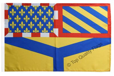 外贸法国约讷省的旗帜France Yonne Banner Flag亚马逊WISH EBAY