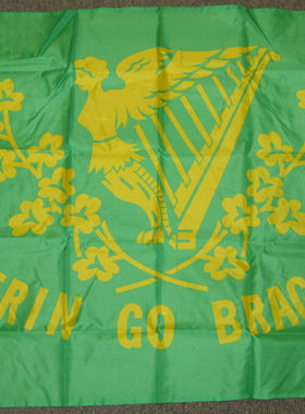 ERIN GO BRAGH IRISH BRAUGH IRELAND EIRE Flag亚马逊WISH EBAY