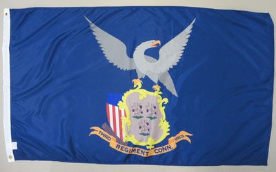 外贸3rd Connecticut Infantry Reg Historical FLAG WISH EBAY