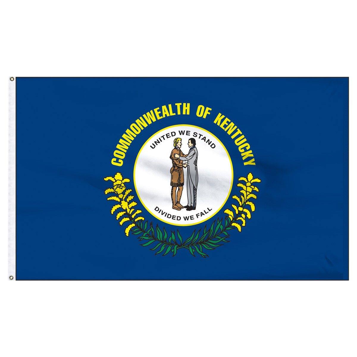 外贸货源肯塔基州的旗帜Kentucky State Flag亚马逊WISH EBAY热卖 - 实物图