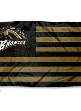 Western Michigan University Broncos Stars亚马逊WISH EBAY