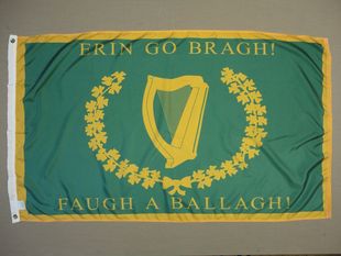Historical Irish Regiment FLAG亚马逊WISH Brigade 外贸8th