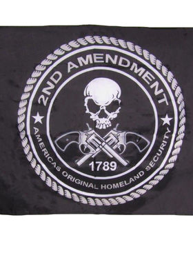 second Amendment America's Original Homeland 亚马逊WISH EBAY