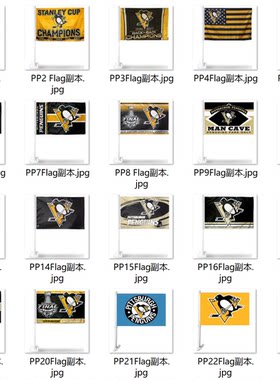 外贸匹兹堡企鹅队旗帜车旗系列NHL Pittsburgh Penguins Car Flag