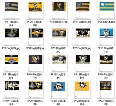 外贸匹兹堡企鹅队旗帜车旗系列NHL Pittsburgh Penguins Car Flag