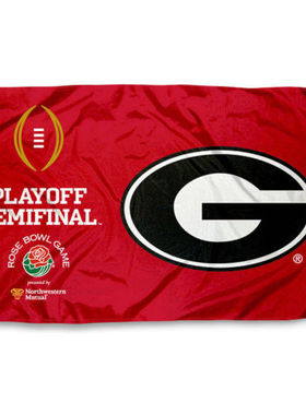 Georgia Bulldogs 2017 College Football Flag亚马逊WISH EBAY热