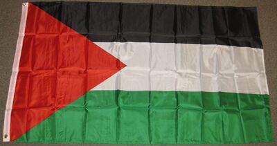 外贸货源巴勒斯坦国旗PALESTINE FLAG亚马逊WISH EBAY热卖