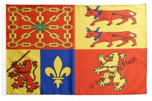 外贸货France Pyrénées-Atlantiques Flag亚马逊WISH EBAY热卖