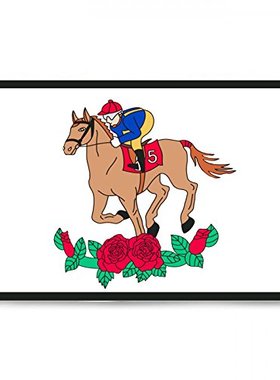 2But Kentucky Derby Flag Banner 3x5 Feet亚马逊 WISH EBAY热卖