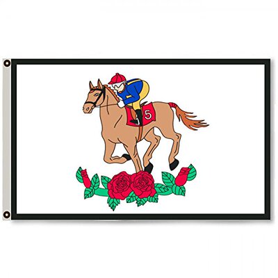 2But Kentucky Derby Flag Banner 3x5 Feet亚马逊 WISH EBAY热卖
