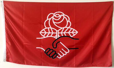 2But Democratic Socialists of America Flag亚马逊 WISH EBAY热
