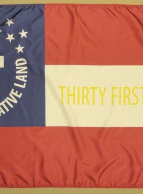 外贸货源31st Alabama AL Infantry Reg FLAG亚马逊 WISH EBAY