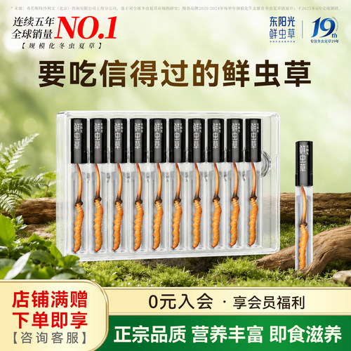 东阳光冬虫夏草正品新鲜