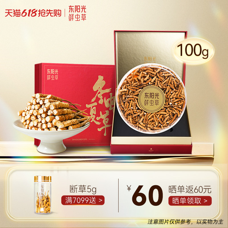 东阳光冬虫夏草断草官方旗舰店正品高海拔精品虫草100克干货自用