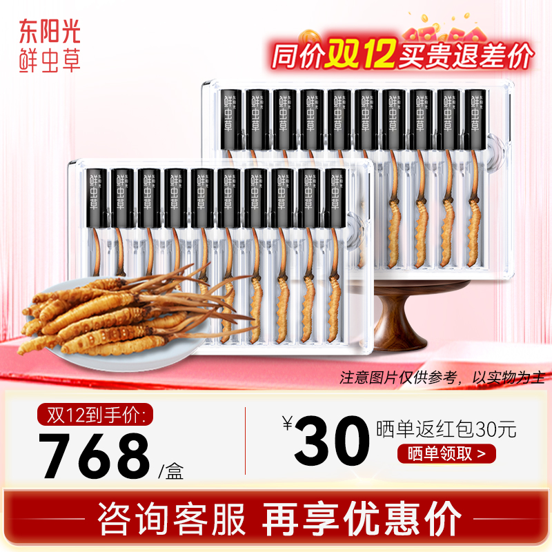 东阳光冬虫夏草正品新鲜