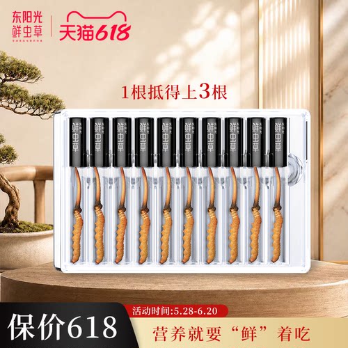 东阳光冬虫夏草正品新鲜