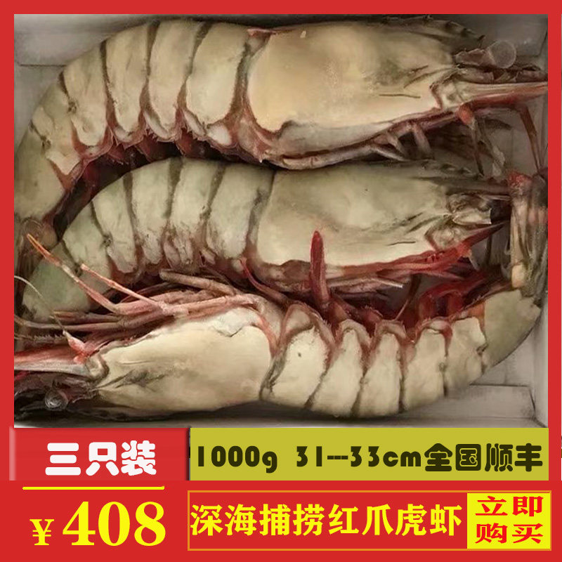 黑虎虾超大新鲜巨型红爪虾大鬼虾斑节特大对虾3只2斤2022年年货