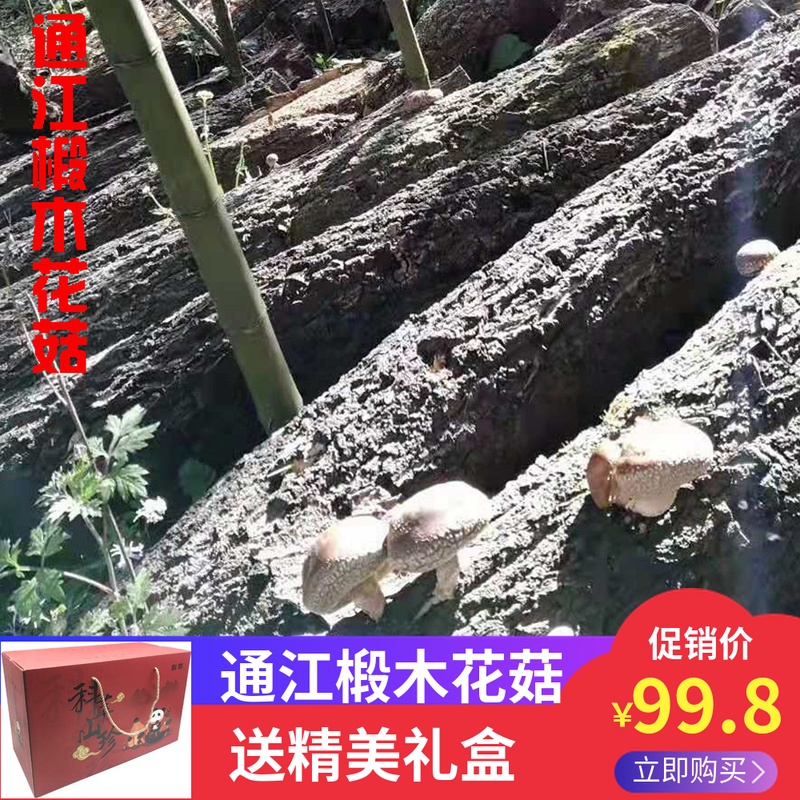 花菇通江椴木特级野生500g小香菇四川特产全剪脚礼盒包装农家蘑菇