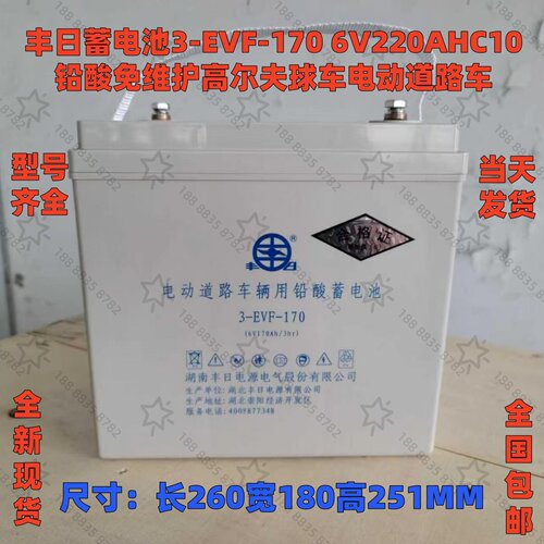 丰日免维护蓄电池3-EVF6V