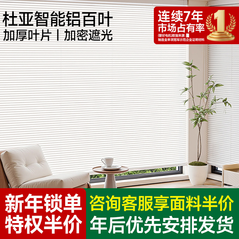 ��C���пס� 2.5cmC��-�߹�/�ƹ�-�ϼ� ƽ���� �������ܵ綯����Ҷ ��������