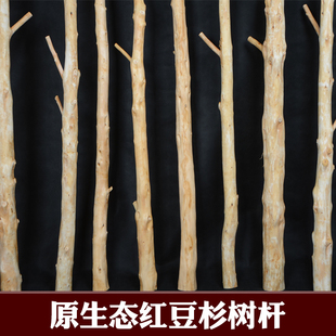 天然干树枝去皮红豆杉原木杈树干树枝枯树段酒店会所隔断客厅装饰