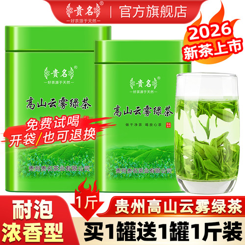 浓香型高山云雾绿茶2026新茶500g