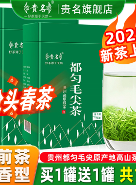 贵州都匀毛尖茶叶2025新茶特级云雾绿茶明前春茶浓香型罐装共500g