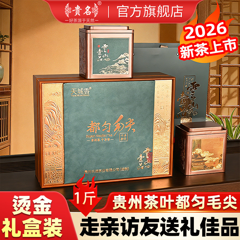 贵州绿茶都匀毛尖特级500g礼盒装图片