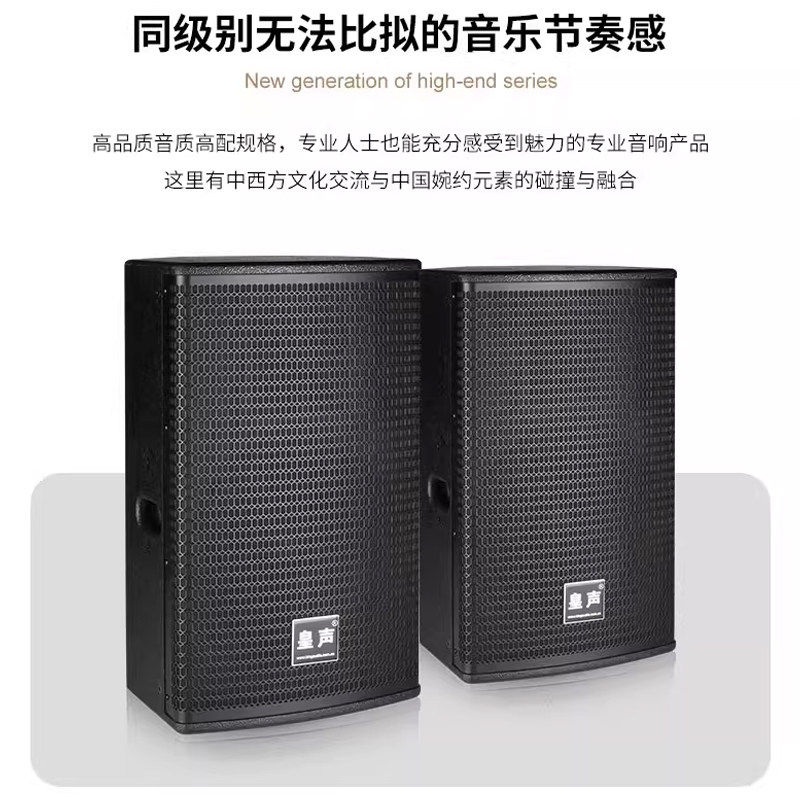 KingAudio/皇声D10音箱
