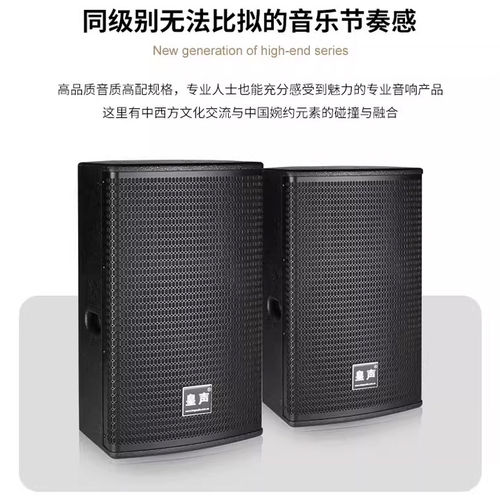 KingAudio/皇声D10音箱