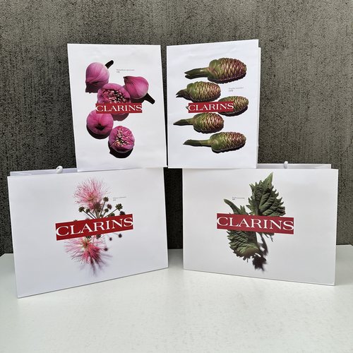 新款专柜娇韵诗手提袋礼盒包装礼品袋护肤品手提袋香水包装袋送礼