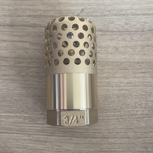 全铜网铜底阀吸水泵弹簧立式止回