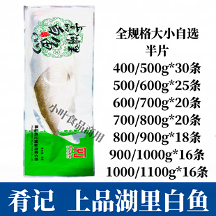 肴记太湖大白鱼整箱半边新鲜腌制淡水翘嘴鱼酒店特色半成品清蒸鱼