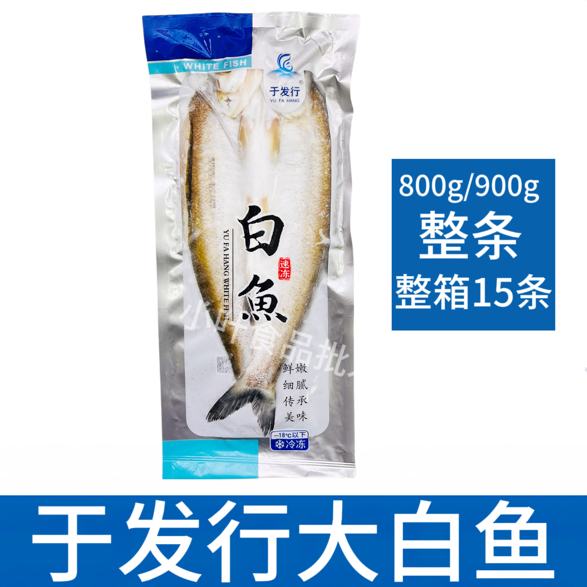 于发行太湖白鱼整条800/900g15条新鲜冷冻腌制白丝鱼大翘嘴半成品