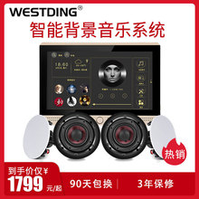 威斯汀GM-10家庭影院无线蓝牙嵌入式吸顶喇叭背景音乐全屋音响