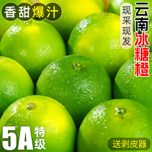 云南新鲜冰糖橙现摘当季哀牢山10斤青皮手剥橙子水果整箱包邮榨汁