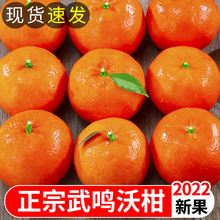 包邮🍬 广西武鸣沃柑10斤新鲜橘子水果当季 整箱沙糖蜜橘砂糖柑橘桔子