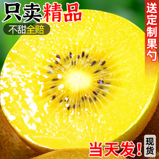 四川黄心猕猴桃新鲜应当季孕妇水果整箱大果奇异果弥猴桃金果包邮