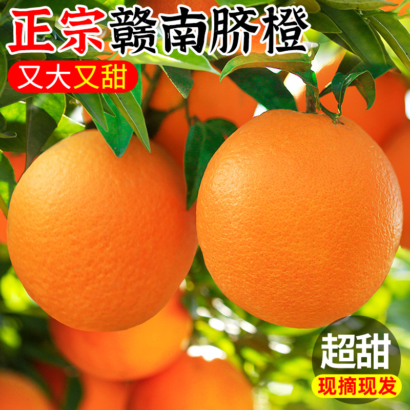 【商超精品】江西赣南脐橙包甜
