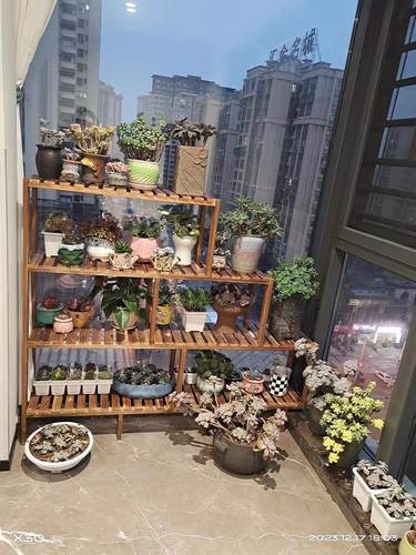 阳台花架阶梯高低脚搭窗台多层客厅户外多肉阶梯置物架实木花架