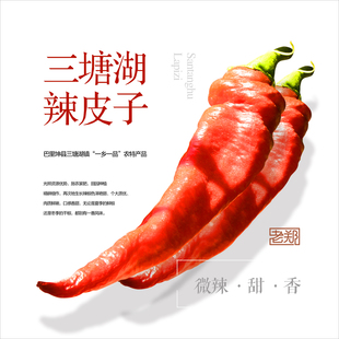 新疆巴里坤三塘湖辣皮子甜辣【礼盒装】500g微辣