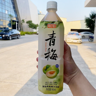 【新鲜日期】诏安特产梅之韵青梅果汁饮料海盐梅子汁饮料酸甜口感