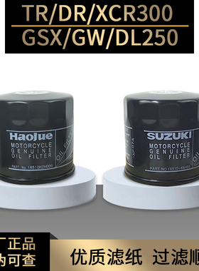 豪爵摩托TR XCR DR300机滤空滤机油格GSX GW DL250空气滤芯原厂