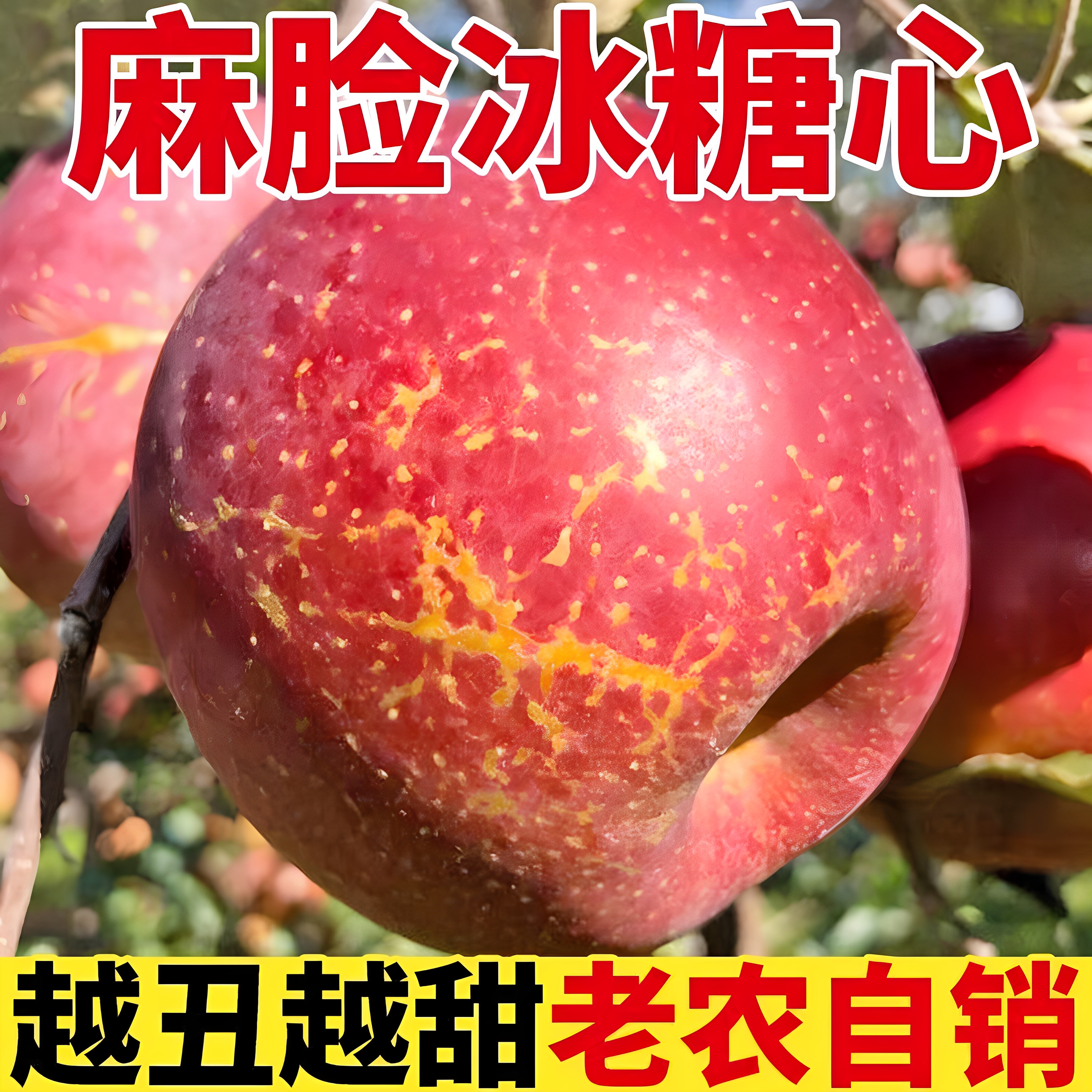 正宗大凉山丑苹果新鲜水果当季现摘现发孕妇水果