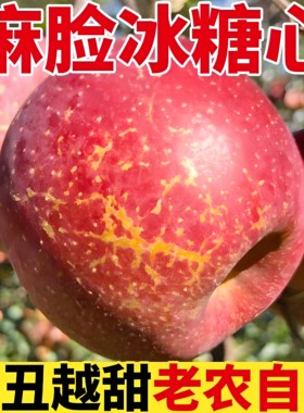 正宗大凉山丑苹果新鲜水果当季现摘现发孕妇水果