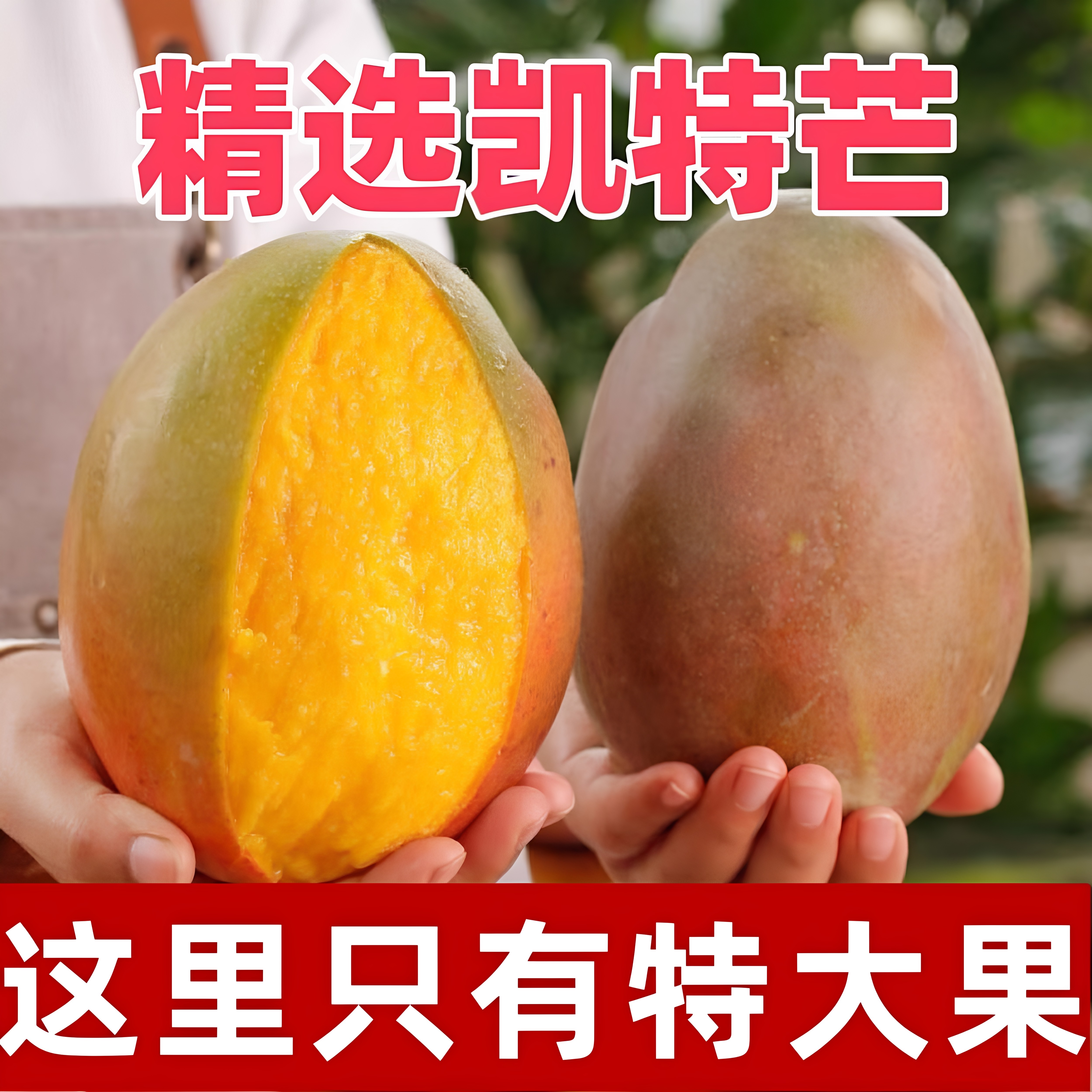 正宗凯特芒果新鲜水果应当季特大青忙果