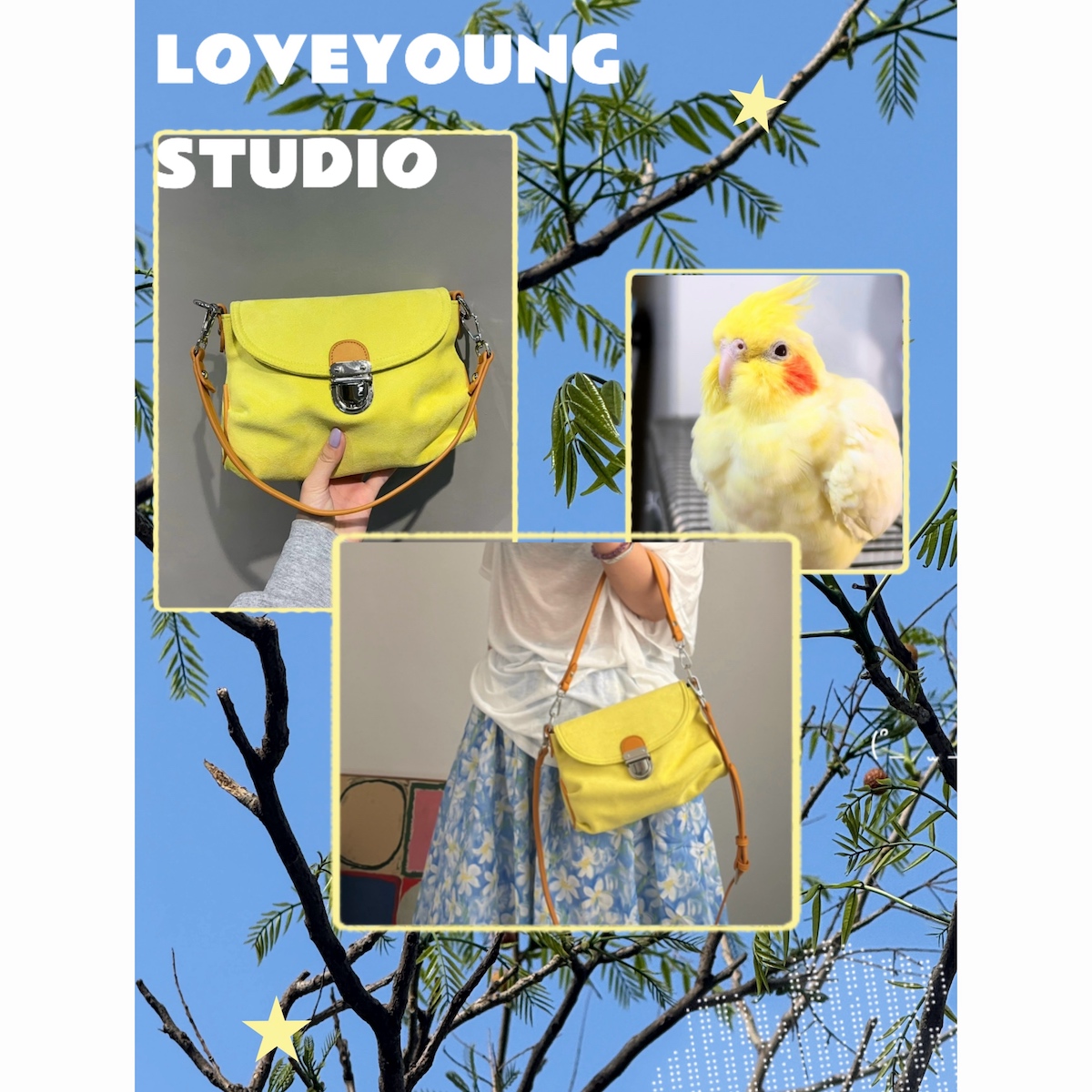 loveyoung原创玄凤鹦鹉夹子包
