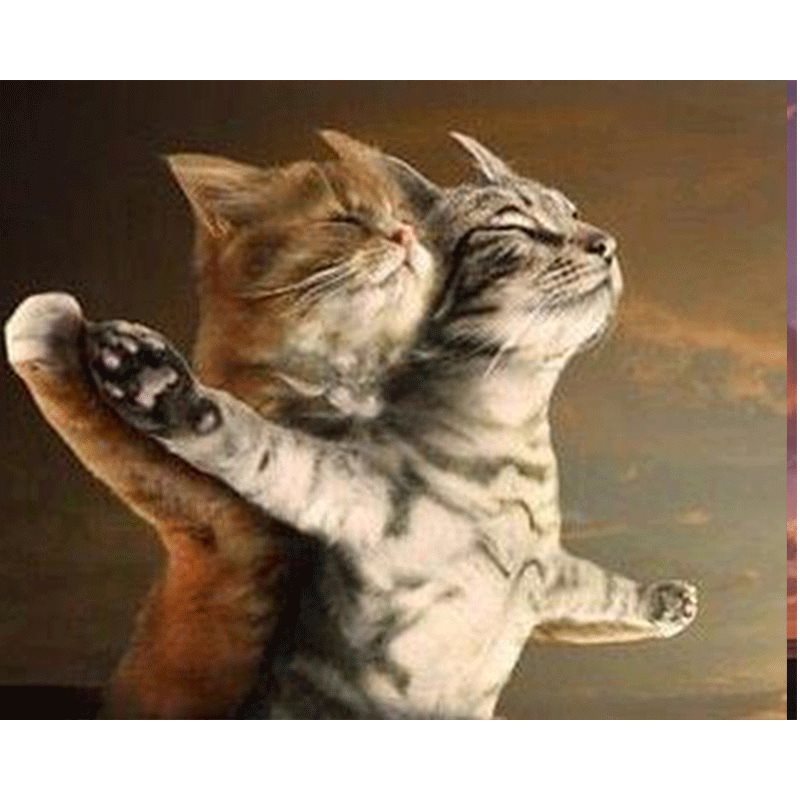 DIY diamond painting 5d couple cat full drill在類目 家居飾品, 其他工藝飾品中 - 來自Buy2taobao.com提供專業的淘寶代購服務